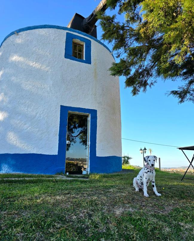 Enxara do Bispo Casal Do Moinhoヴィラ エクステリア 写真